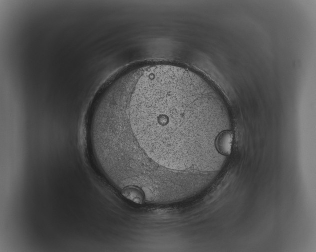 X0000102790584200808251030