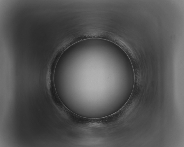 X0000102790586200808251030