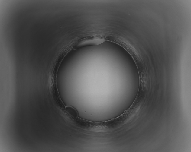 X0000102790593200808251030