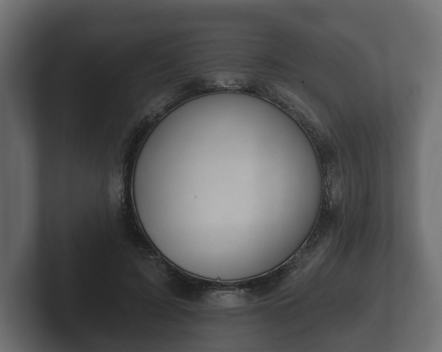 X0000102790595200808251030