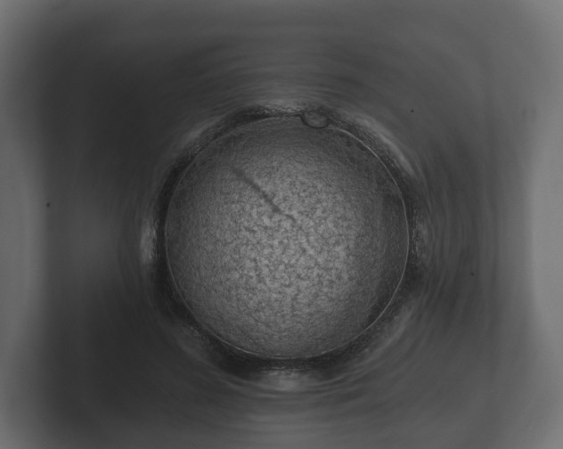 X0000102790596200808251030