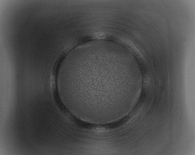 X0000102790598200808251030