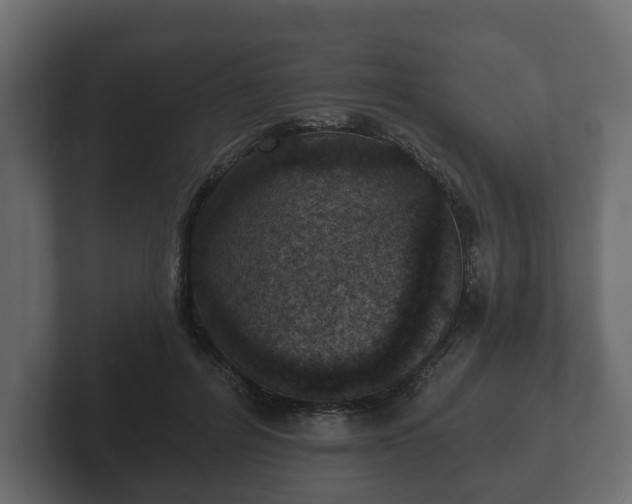 X0000102790600200808251030