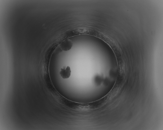 X0000102790606200808251030