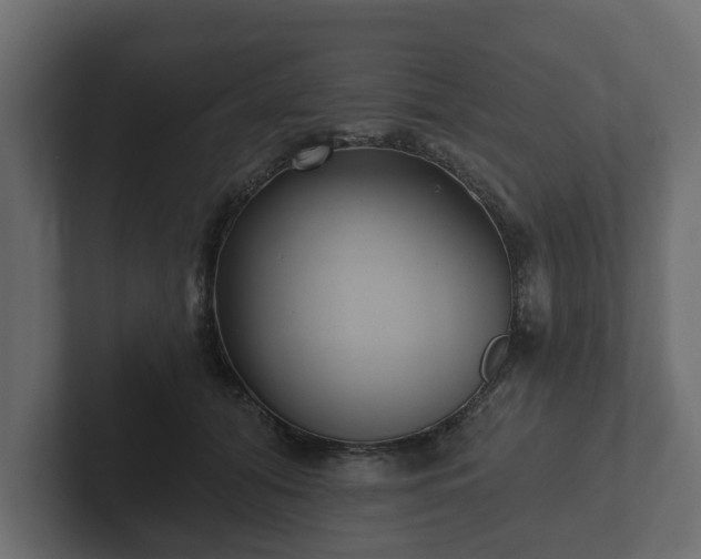 X0000102790608200808251030