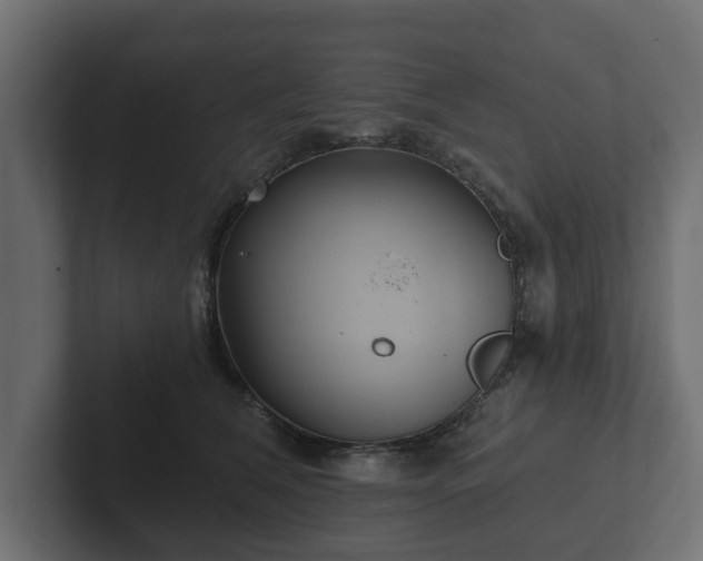 X0000102790612200808251030