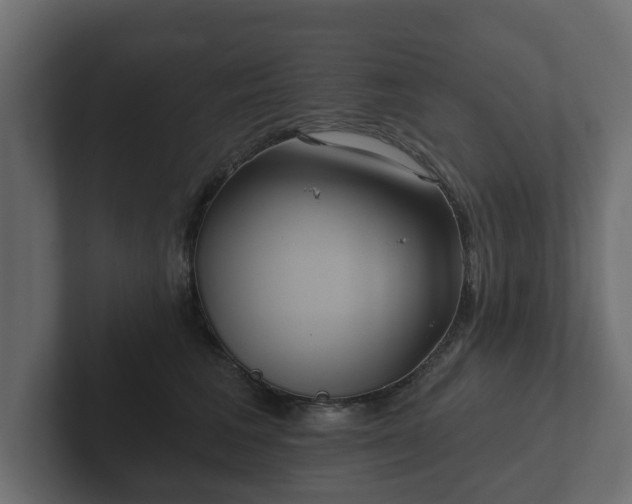 X0000102790613200808251030