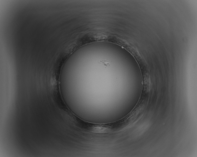 X0000102790614200808251030
