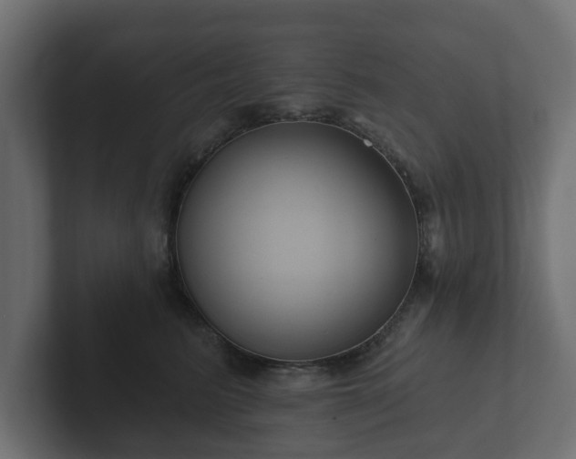 X0000102790615200808251030