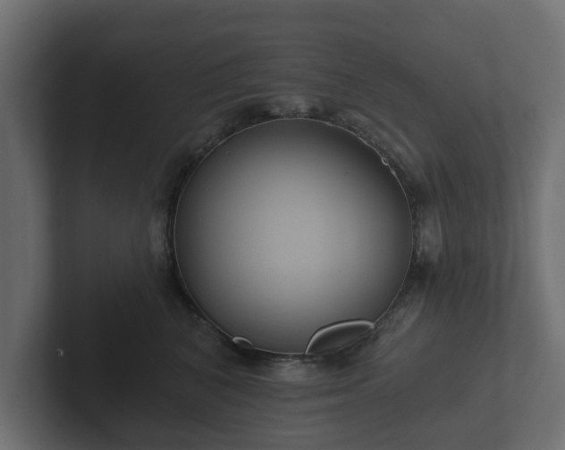 X0000102790616200808251030