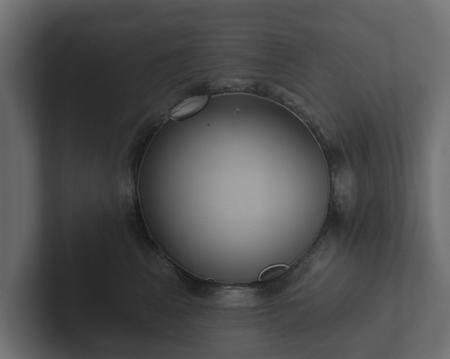 X0000102790617200808251030
