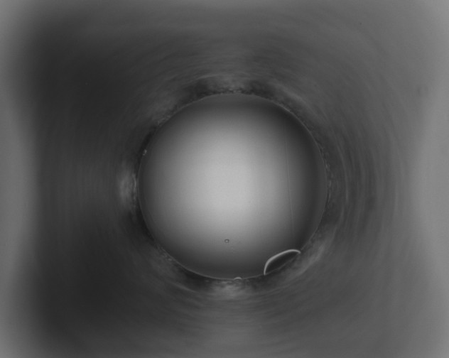 X0000102790624200808251030