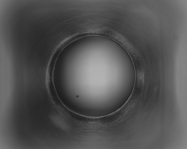 X0000102790628200808251029