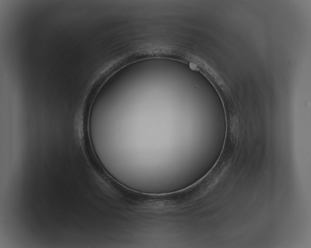 X0000102790629200808251029