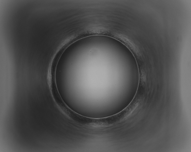 X0000102790630200808251029
