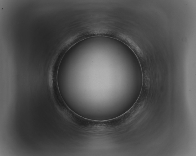 X0000102790631200808251029
