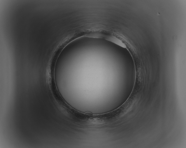 X0000102790634200808251029