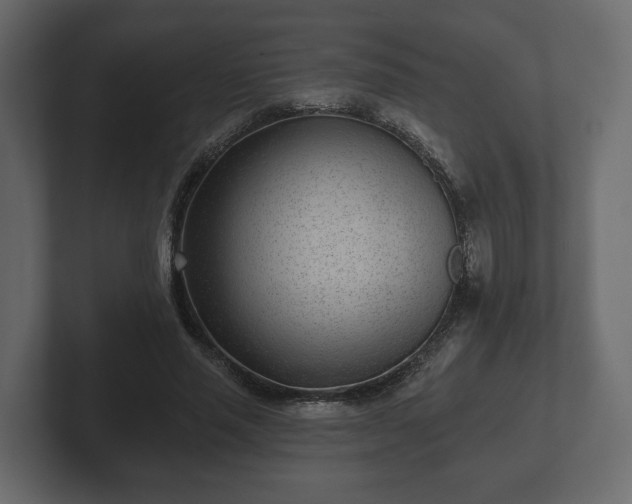 X0000102790637200808251029