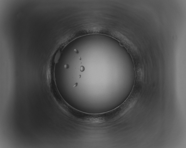 X0000102790638200808251029