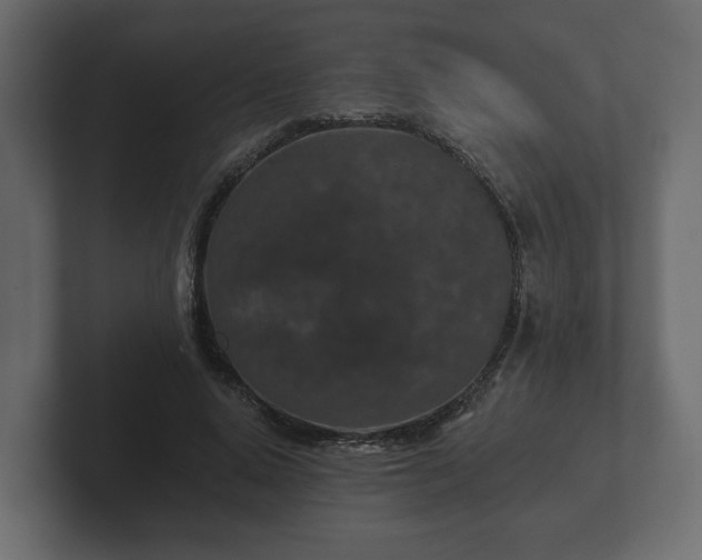 X0000102790640200808251029