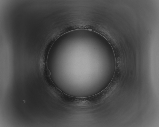 X0000102790642200808251029