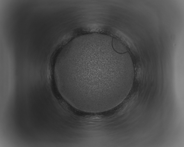 X0000102790643200808251029