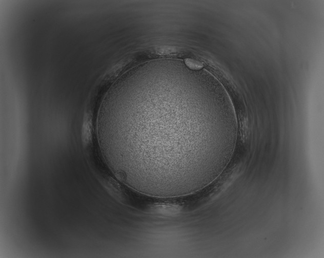 X0000102790644200808251029