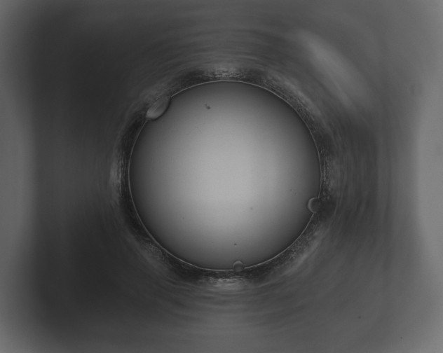 X0000102790645200808251029