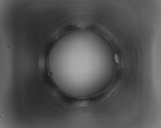X0000102790646200808251029