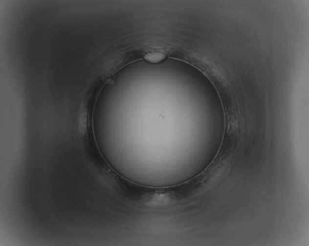 X0000102790647200808251029