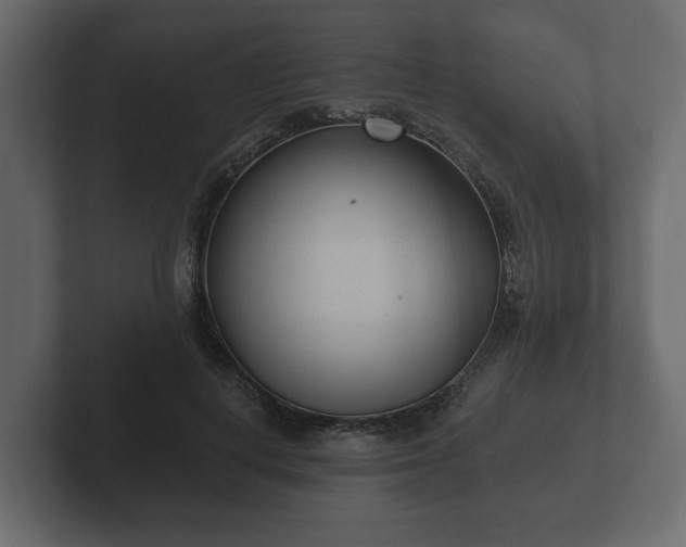 X0000102790648200808251029
