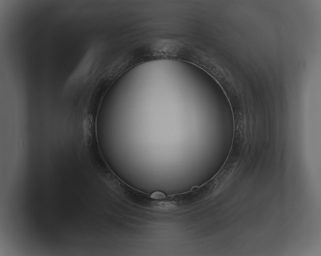 X0000102790649200808251029