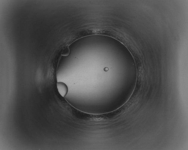 X0000102790650200808251029