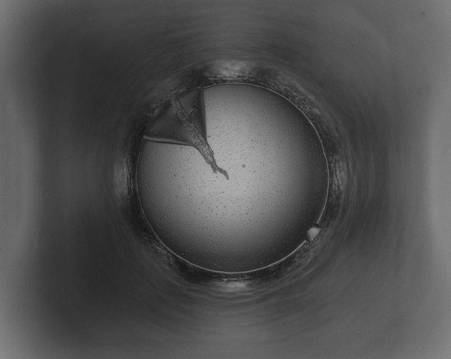 X0000102790651200808251029