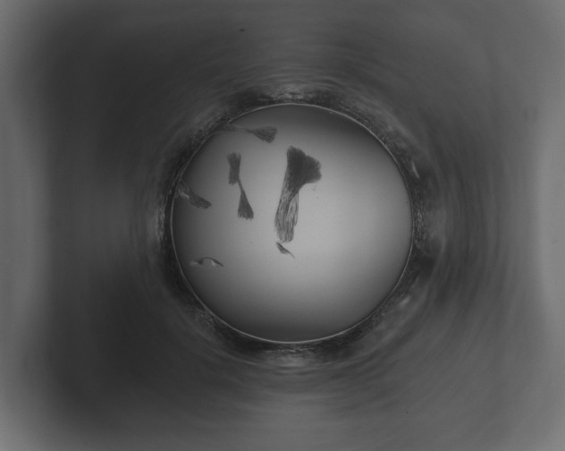 X0000102790652200808251029