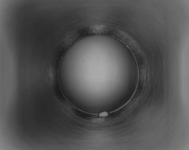 X0000102790653200808251029
