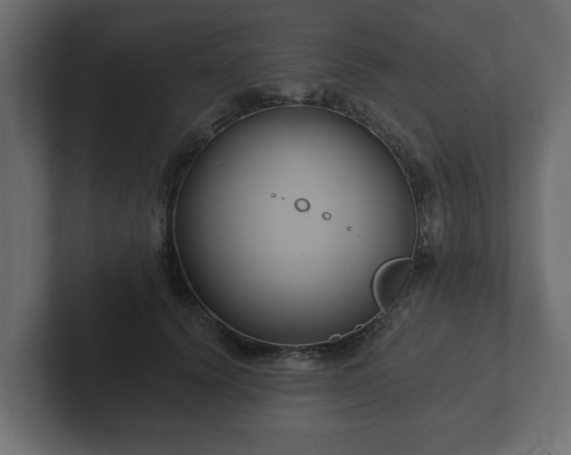 X0000102790656200808251029