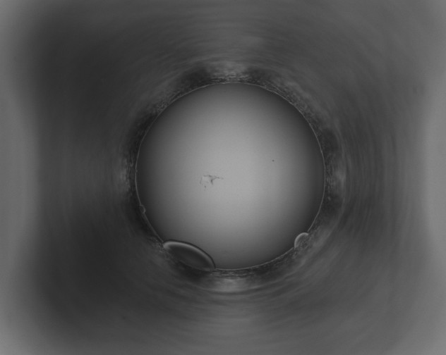 X0000102790658200808251029