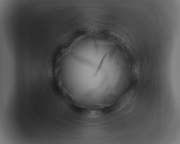 X0000102790663200808251029