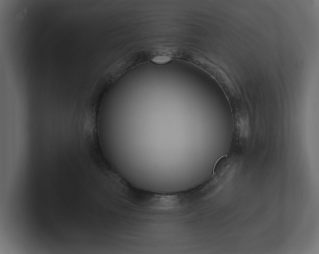 X0000102790665200808251029