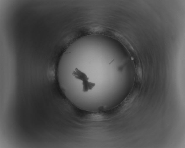 X0000102790668200808251029
