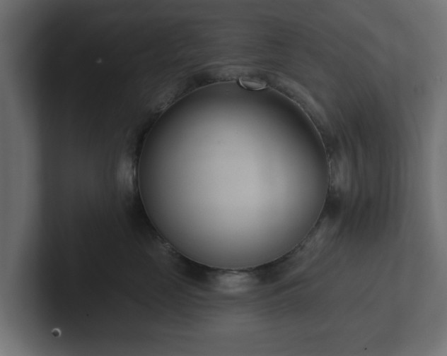 X0000102790669200808251029
