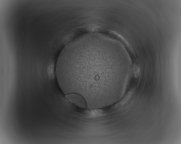 X0000102790670200808251029