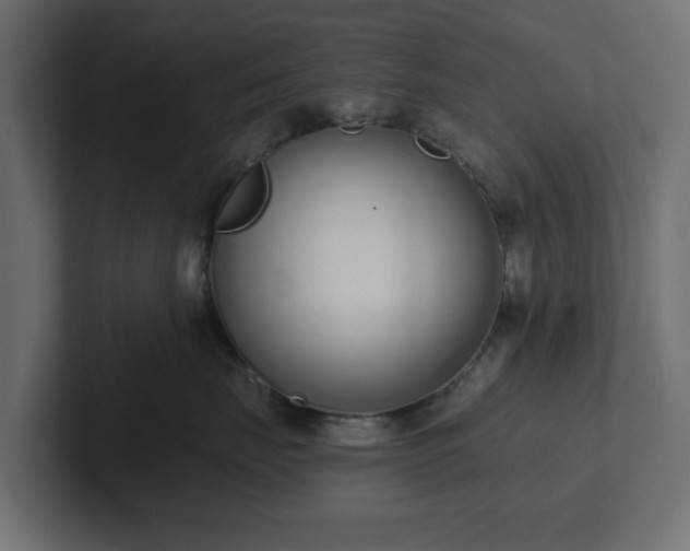 X0000102790671200808251029