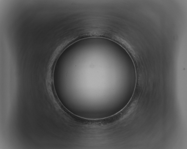 X0000102790673200808251029