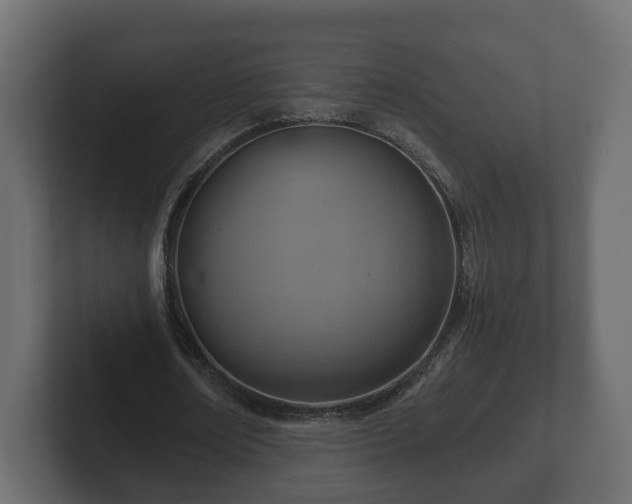 X0000102790674200808251029