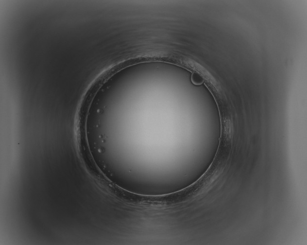 X0000102790676200808251029