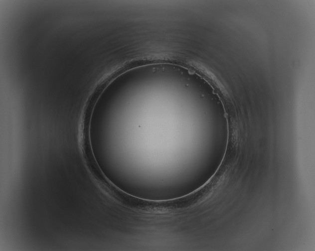X0000102790677200808251029