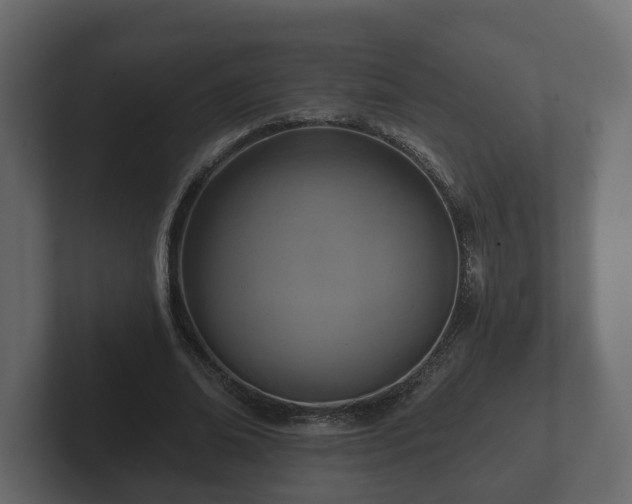 X0000102790678200808251029