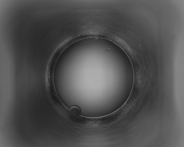 X0000102790680200808251029